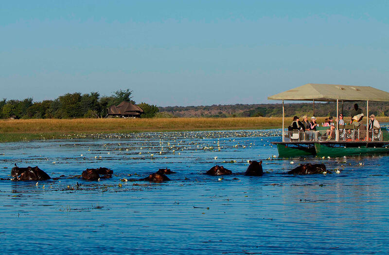 Watching hippos from the boat, Chobe