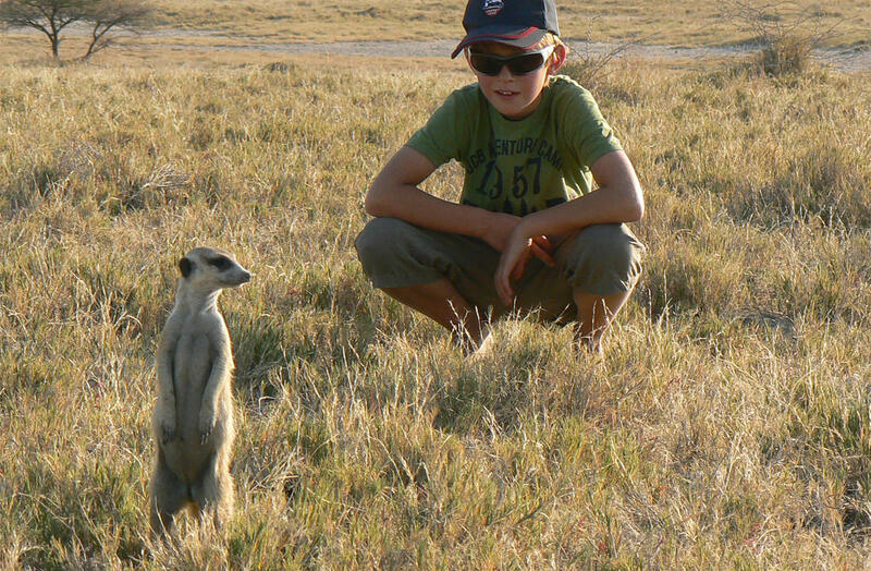 Boy watching meerkat on safari