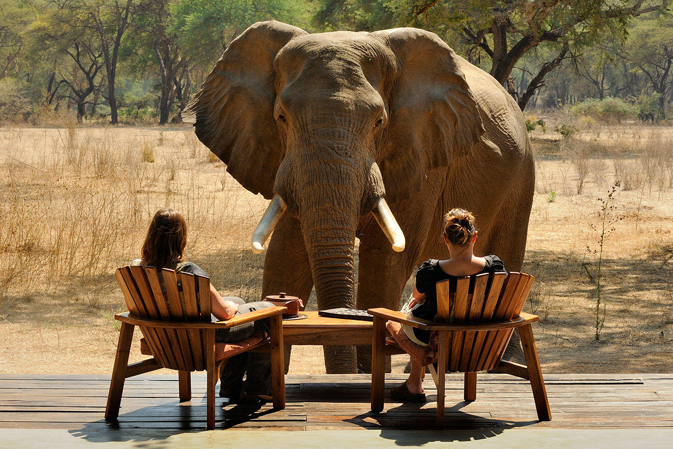 Watching an elephant, Old Mondoro, Lower Zambezi