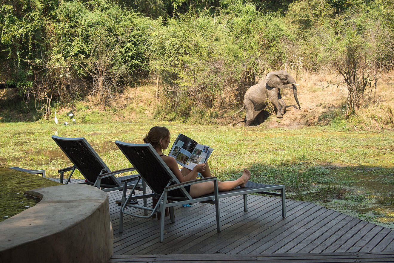 Woman sitting on lounger watching elephant