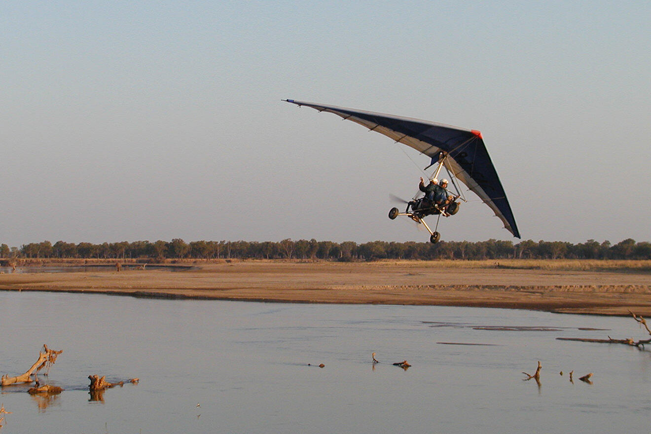 Glider, South Luangwa